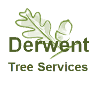 Derwent Tree Services